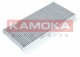 Фильтр салона Kamoka F506801