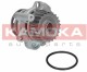 T0033 Kamoka Помпа