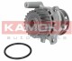 T0033 Kamoka Помпа