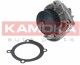 Помпа Kamoka T0118