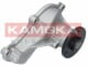 T0151 Kamoka Помпа
