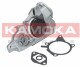 Помпа Kamoka T0177