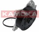 Помпа Kamoka T0262