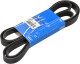VKMV 6PK2490 SKF Поликлиновой ремень