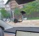 Тримач для телефона Amio Magnetic Car Mount 04143