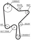 k015686xs Gates Комплект ременя ГРМ
