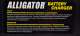 Зарядний пристрій Alligator AC803