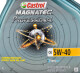 Моторное масло Castrol Professional Magnatec OE 5W-40 4 л на Citroen C5