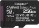 Карта пам’яті Kingston Canvas Select Plus MicroSD 256 ГБ