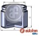 d025856 Autofren Seinsa Поршень гальмівного супорта