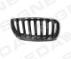 pbm07040gbr Signeda Решетка радиатора на BMW X3