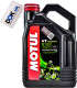 Motul 5100 15W-50, 4 л (836741) моторное масло 4T 4 л