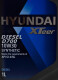 Моторна олива Hyundai XTeer Diesel D700 10W-30 1 л на Daihatsu Sirion