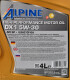 Моторное масло Alpine DX1 5W-30 4 л на Lexus CT