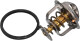 TX 71 82D Mahle Термостат