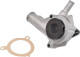 F137 Dolz Помпа