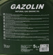 Моторное масло Fanfaro Gazolin 10W-40 5 л на Seat Terra