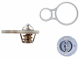 tx25591 Mahle Термостат