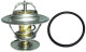 352317101000 Magneti Marelli Термостат