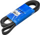 VKMV 6PK2260 SKF Поліклиновий ремінь