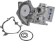 D1B022TT Thermotec Помпа