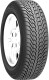 Шина Roadstone Winguard Ice 205/55 R16 91Q