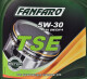 Моторна олива Fanfaro TSE 5W-30 5 л на Lancia Zeta