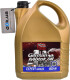 Моторное масло Profex Expert Grade 10W-40 4 л на Chevrolet Lacetti