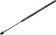 BSG 30-980-011 BSG Газовый упор багажника для Ford Fiesta