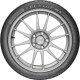 Шина Dunlop SP Sport Maxx TT 245/50 R18 100W