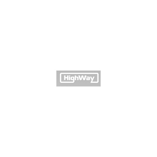 Моторное масло HighWay Professional 5W-40 4 л на Dacia Sandero