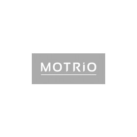 Гальмівний диск Motrio 8660001811