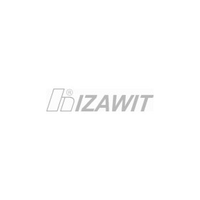 Середній глушник вихлопних газів Izawit 22058