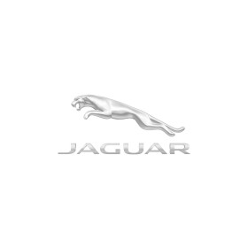 Стекло двери Jaguar c2s1662