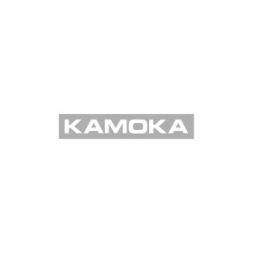 Испаритель Kamoka 7770028