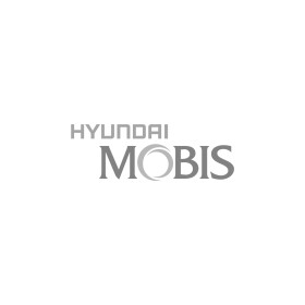 Топливный фильтр Mobis 3191109000