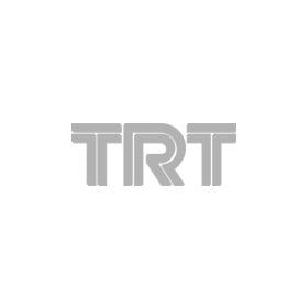 Важіль підвіски TRT r9001l