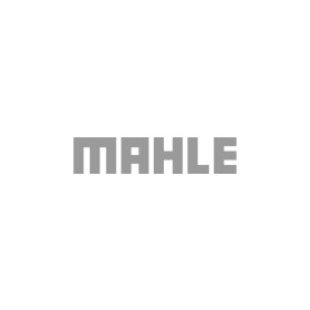 Шатунный вкладыш Mahle 021 BS 20295 300