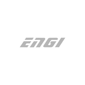 Натягувач ременя ГРМ ENGI eg2511