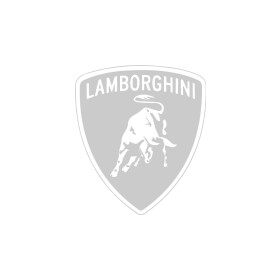 Гальмівні колодки Lamborghini 32000561