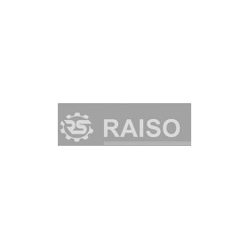 Тормозные колодки RAISO rb1075