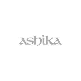 Гальмівний диск Ashika 61000325c