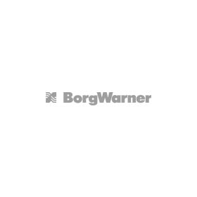 Комплект прокладок турбины BorgWarner 54359887000