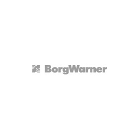 Комплект прокладок турбины BorgWarner 53039880050