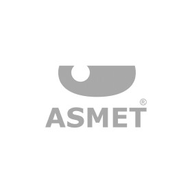 Средний глушитель выхлопных газов Asmet 11025