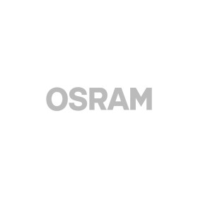 Лампа освещения салона Osram 6418dwp01b