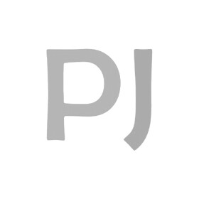 Амортизатор PJ 543284