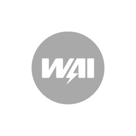 Расходомер воздуха Wai Global maf20211t