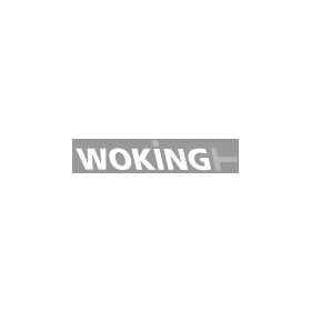 Гальмівні колодки Woking P4883.01