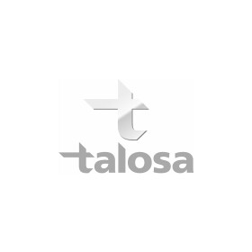 Подушка двигуна Talosa 6113692